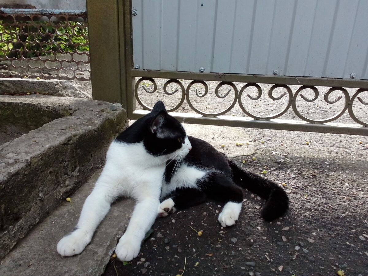 Авторское фото