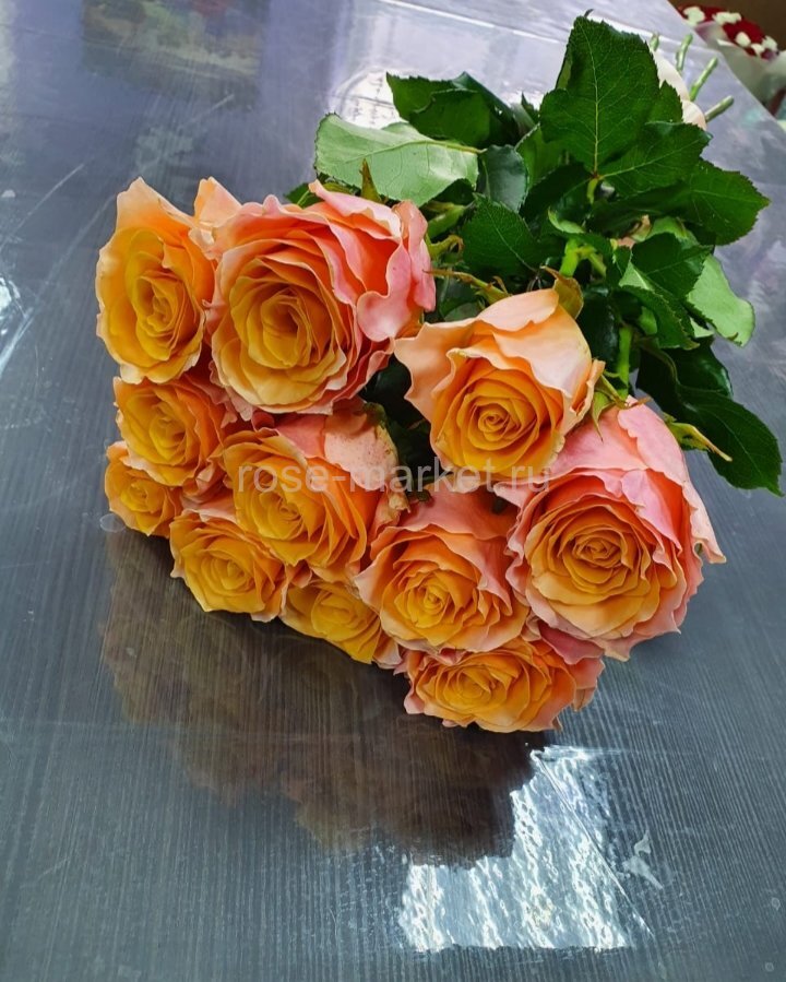 11 оранжевых роз 60 см