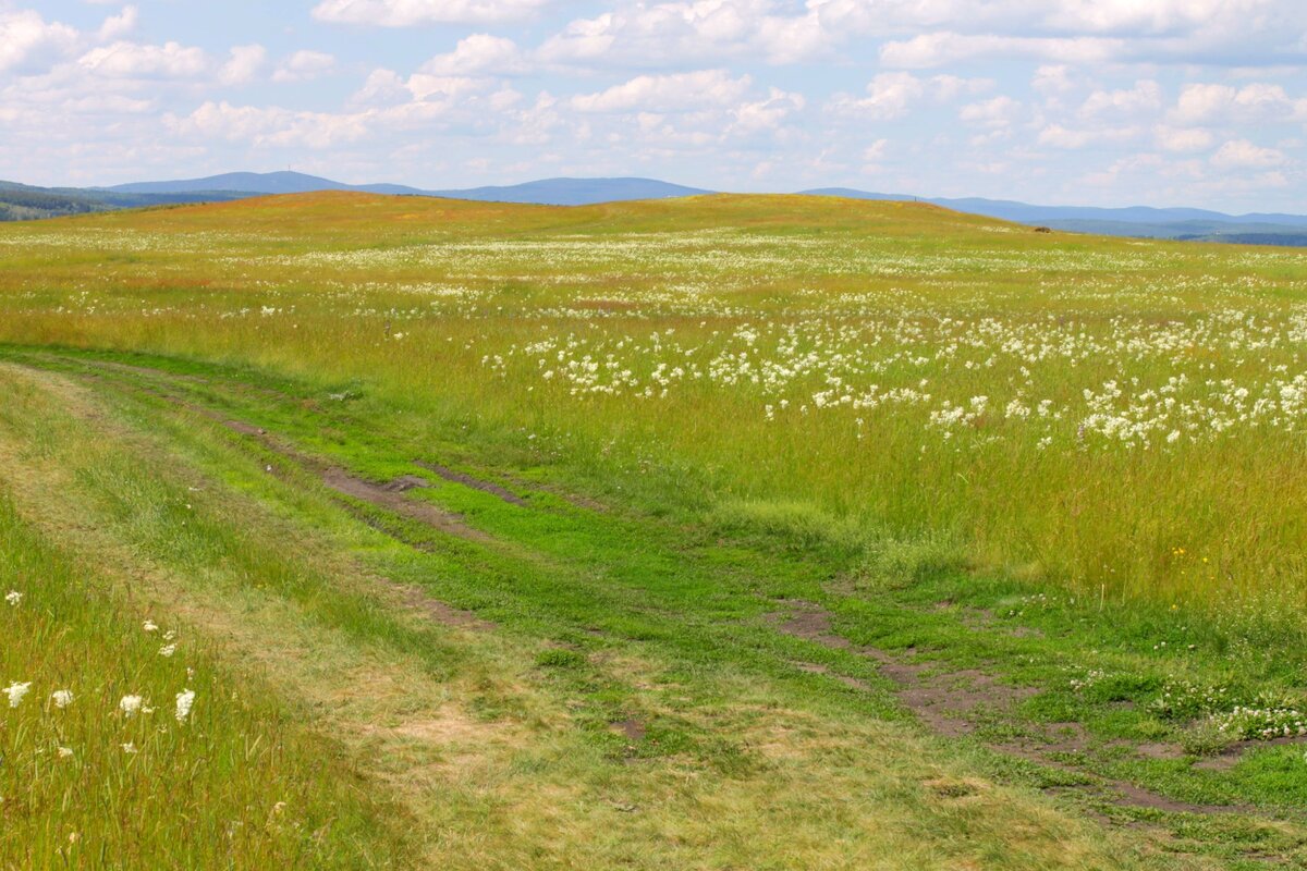 Оплывшие гуннские курганы на берегу озера Чебаркуль
