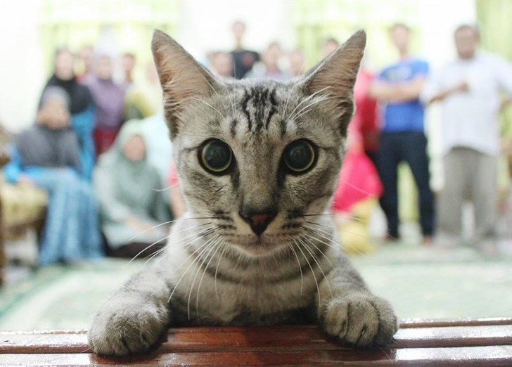 Что это у вас тут происходит? Точно все в порядке?