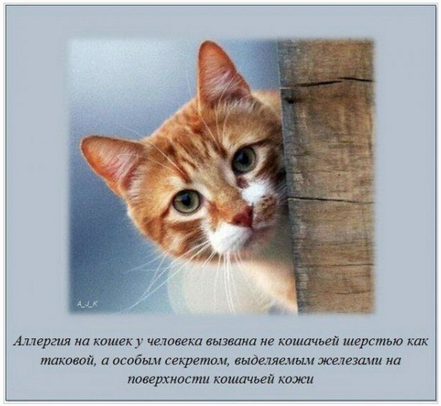 Невероятные факты которые вы не знали