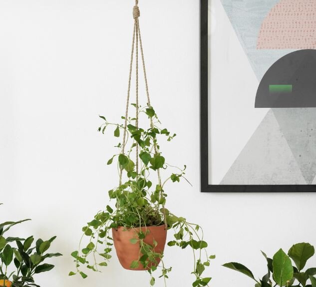 картинка с сайта Икеа