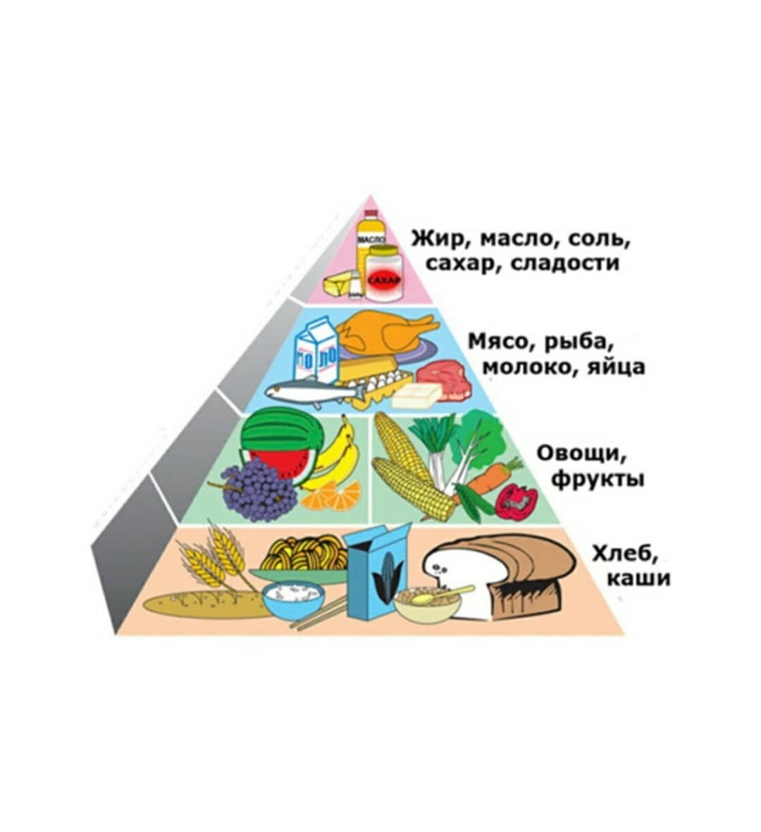 Пирамида пищевых веществ