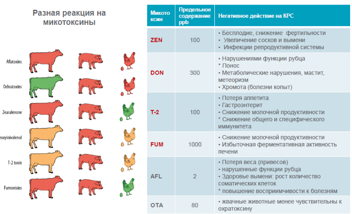 Микотоксины в зерне — мифы и реальность | ГлавАгроном | Дзен