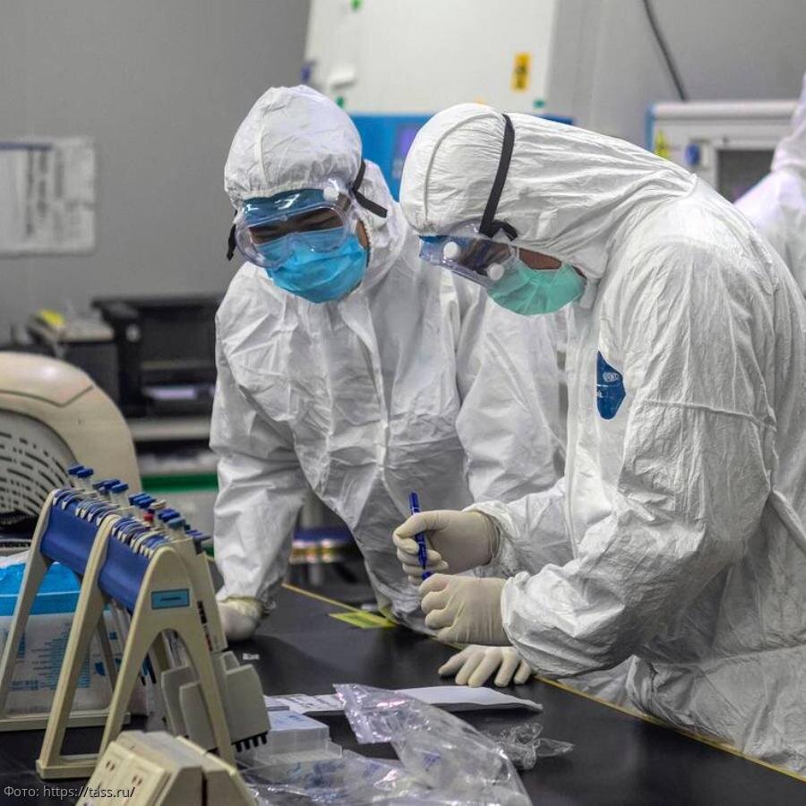 Фото из сети интернет