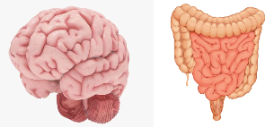 Хотите разделить нагрузку повседневной жизни - подпишитесь 
