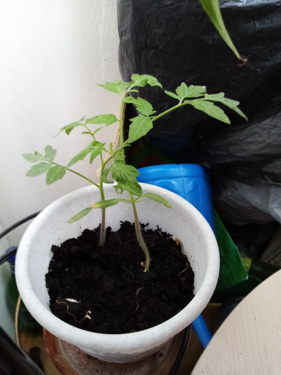 Получилось это.