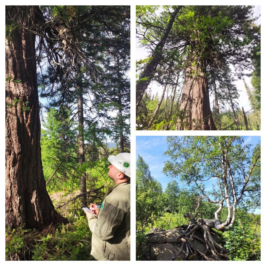 Фото: сайт правительства Хакасии