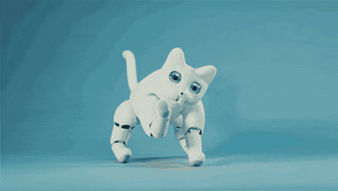 Полностью автономный, интерактивный и простой в программировании, MarsCat — идеальный компаньон