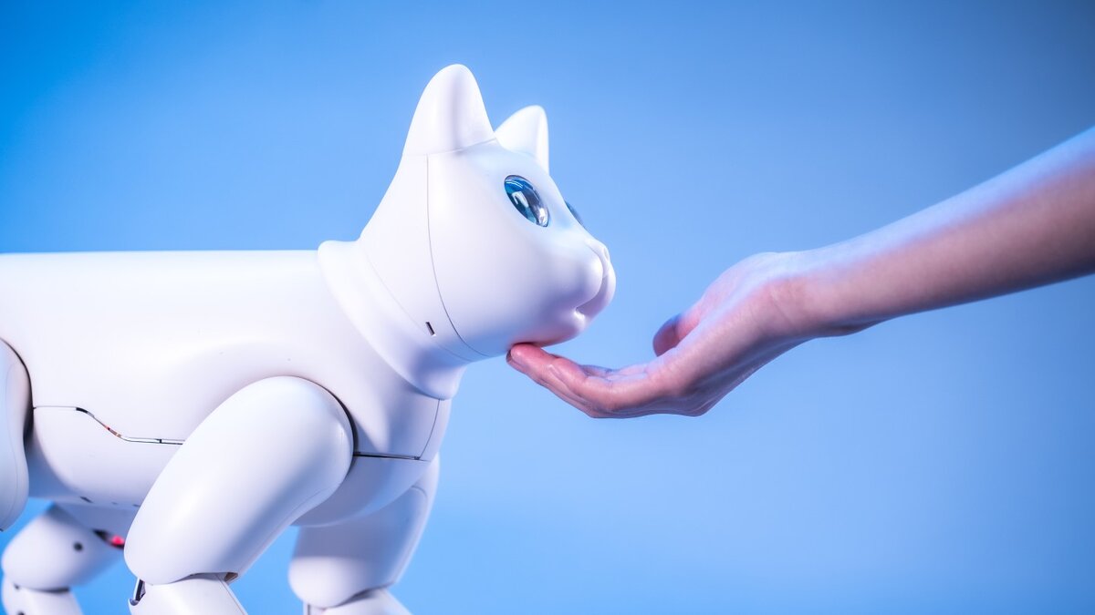 16 серводвигателей сделают MarsCat более бионическим, то есть похожим на настоящую кошку.