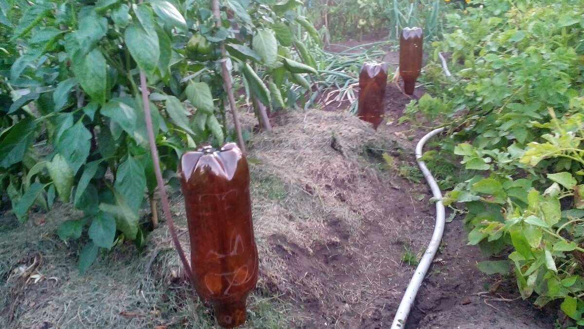 Ограничители для шланга. Фото автора
