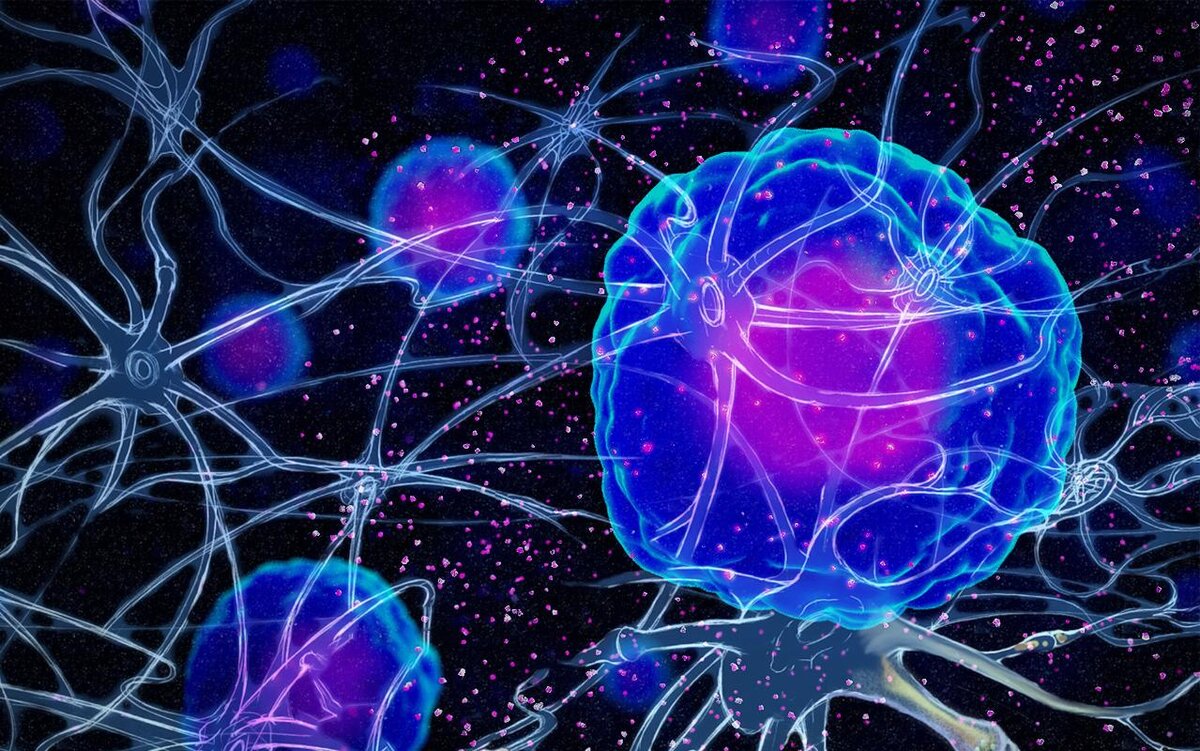 Нейронные сети: как работает наш мозг? | Interesting? | Дзен