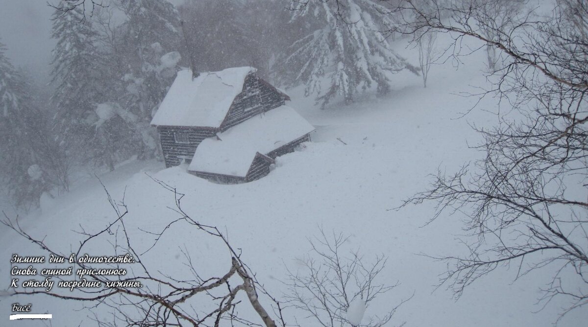 изображение из сети интернет и в свободном доступе