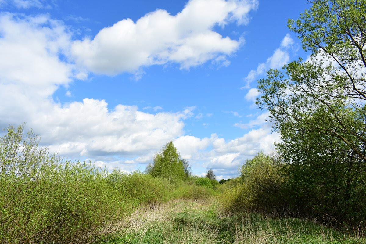 Кучевые облака и красивая природа