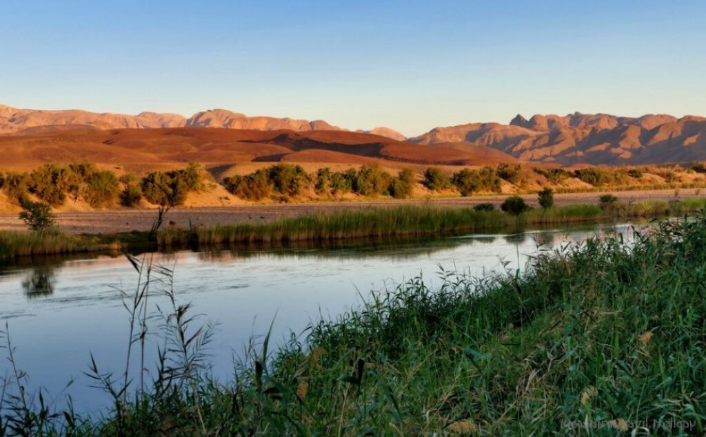 Желтая река