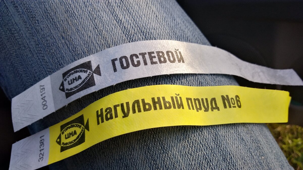 Нам даже браслеты выдали. Всё по-взрослому.