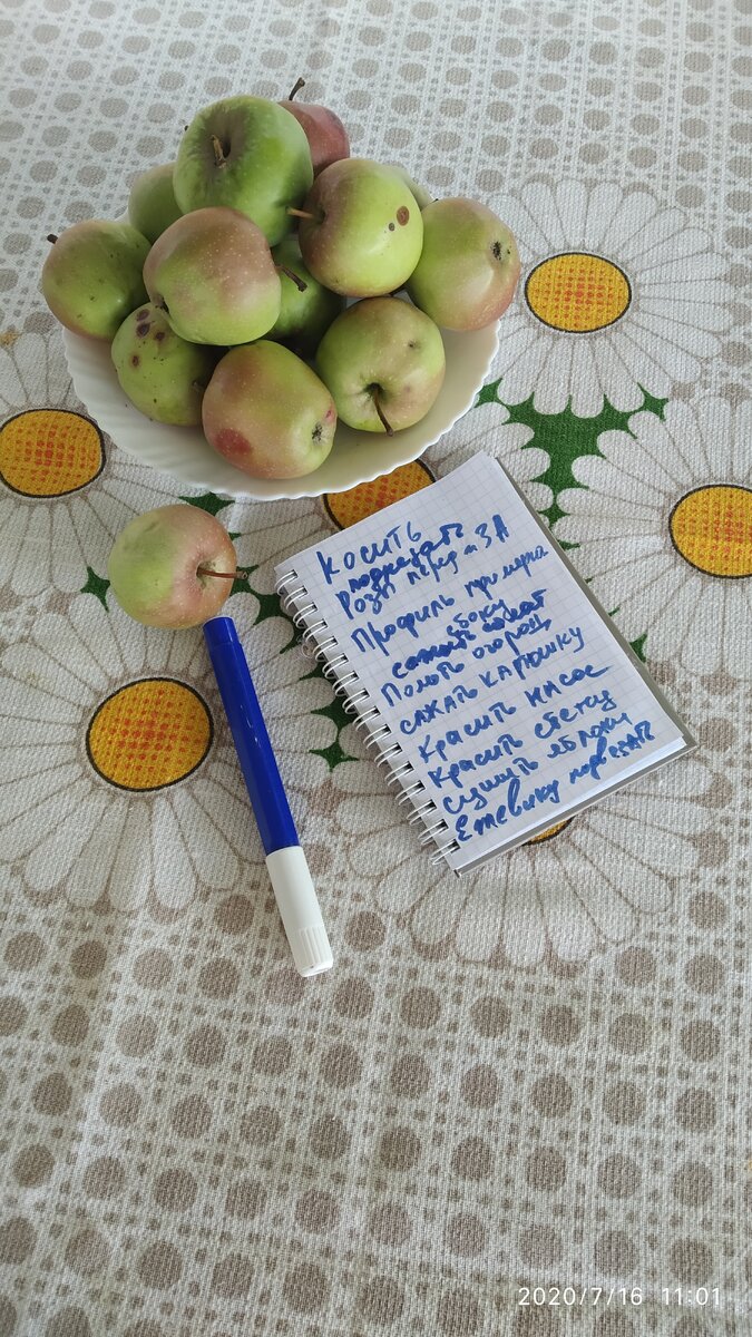 Обычный список дел и яблоки из нашего сада.