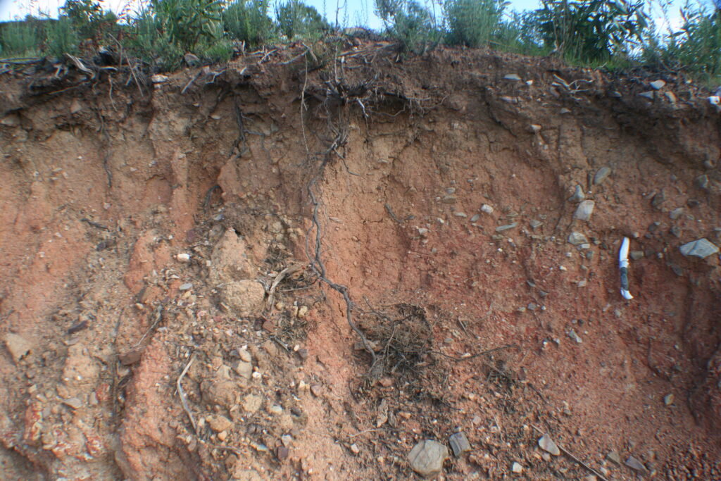 Красные ферраллитные почвы бразилии. Почвы дальнего. Что такое торф и дёрн. Почвенный профиль бурых лесных почв. Бурые горно-лесные почвы краснодарского края.