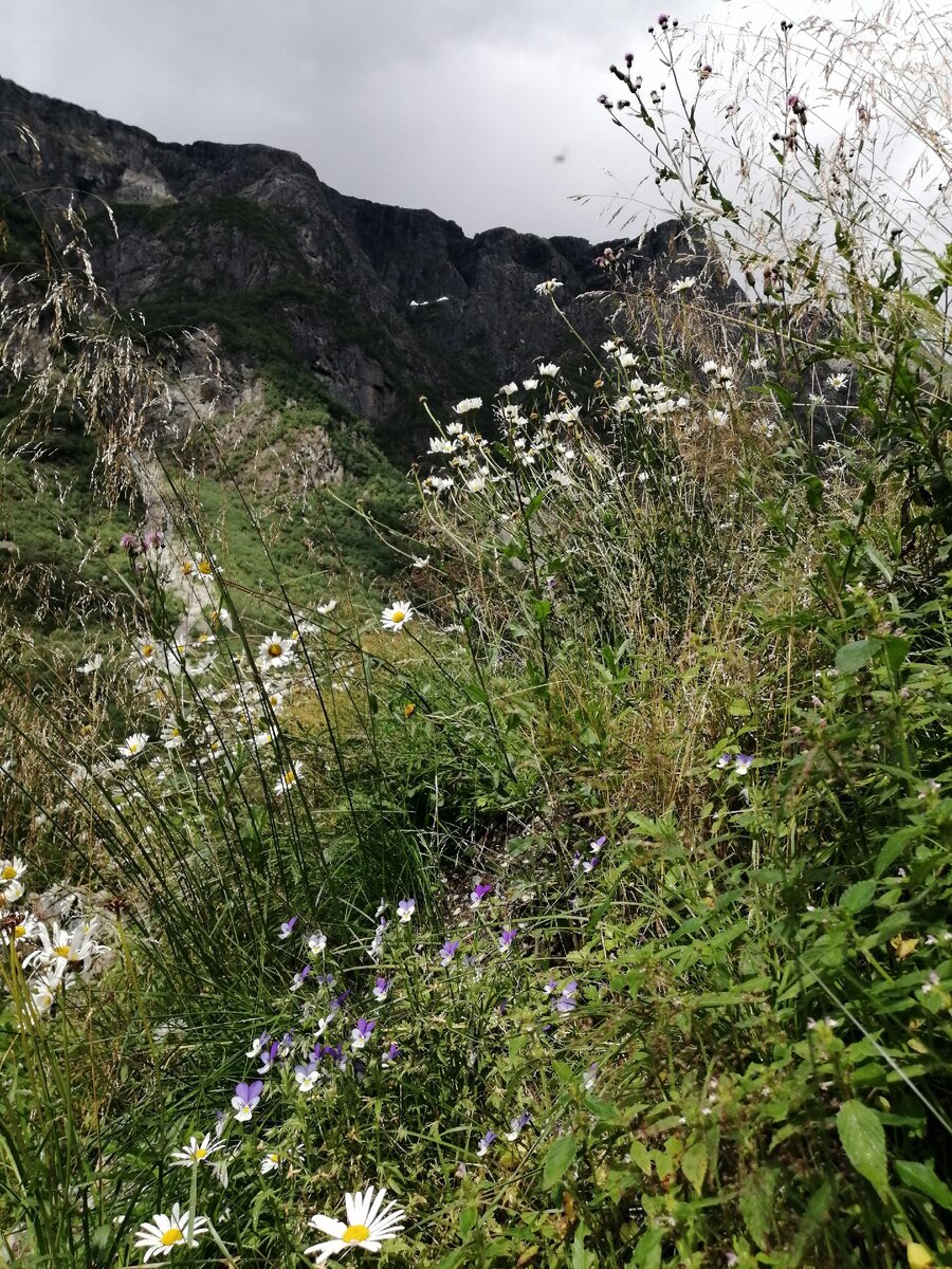 Долина  Гудванген. Фото автора.