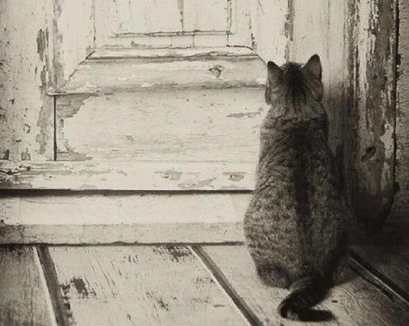 Источник: Яндекс Картинки