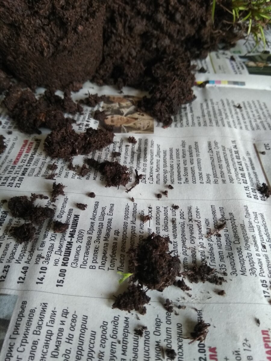 Такой маленький, но вполне самостоятельный