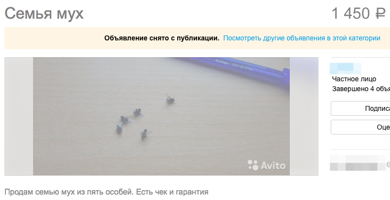 Скриншот с сайта avito.ru