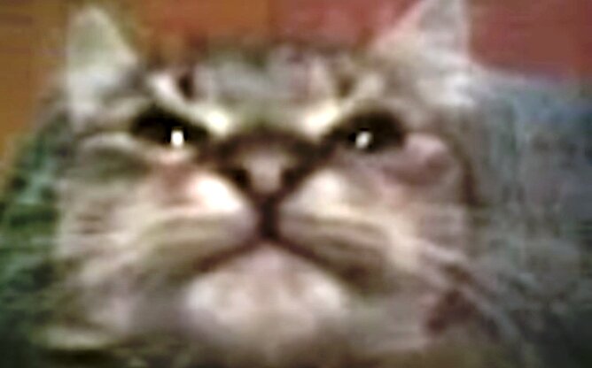 Скриншот YouTube