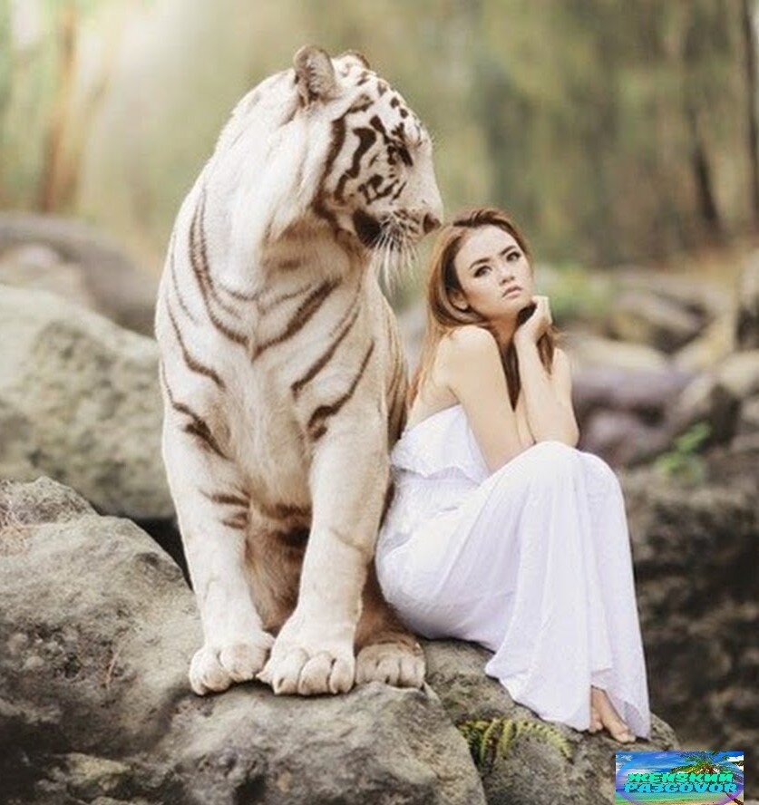 Фото добавлено с Яндекс.картинки