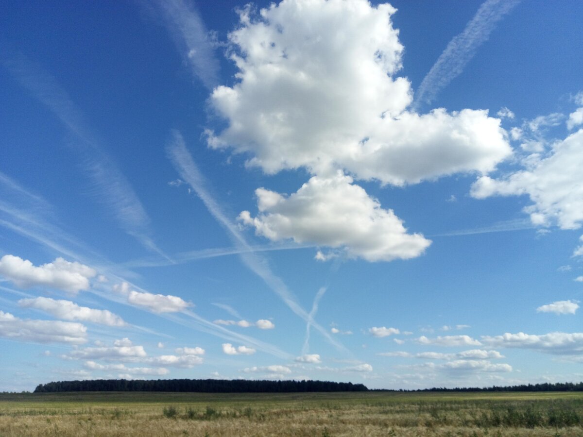 Утром ничто не предвещало проблем.