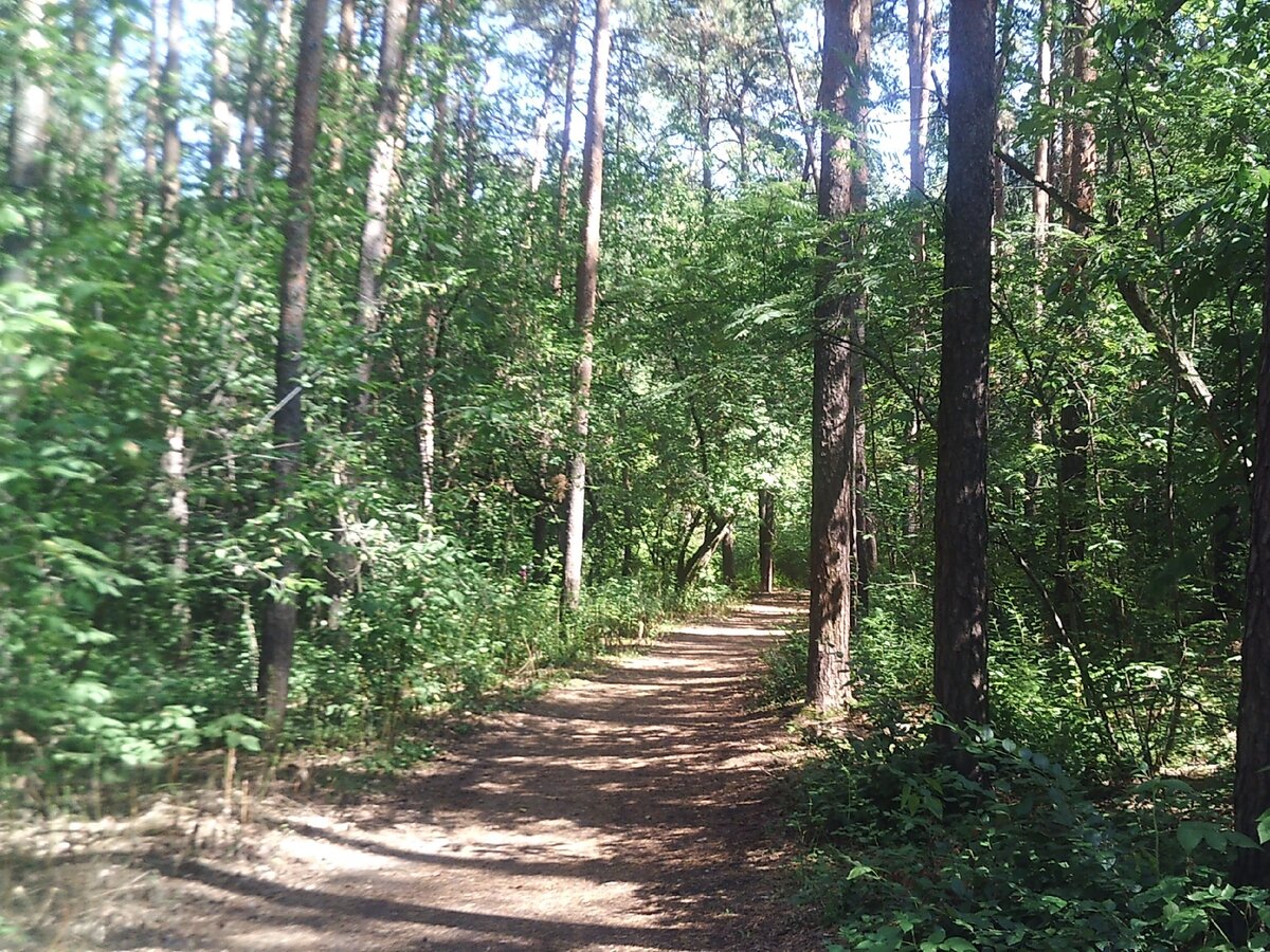 Екатеринбург Шарташский лесопарк.