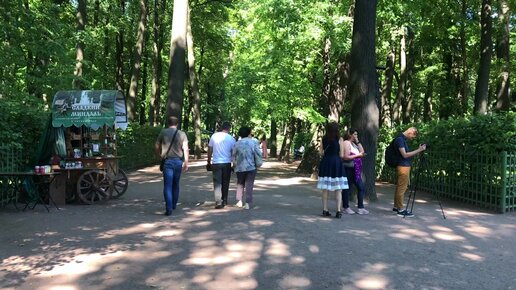 Летний сад– лучший парковый ансамбль в центре Петербурга