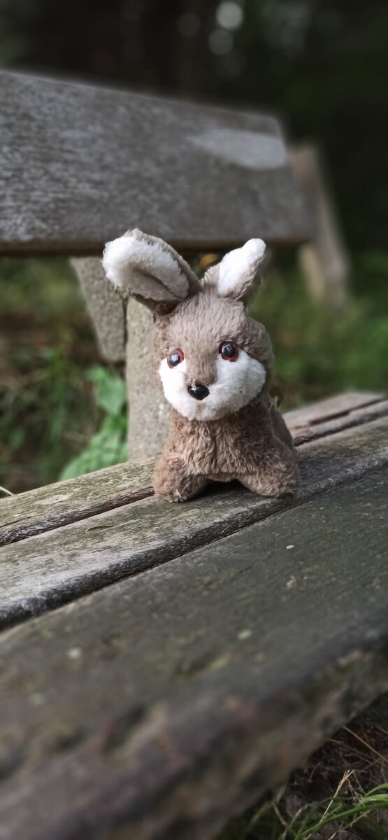 На вечернюю прогулку не пошли всей семьёй. Фото с последней прогулки.