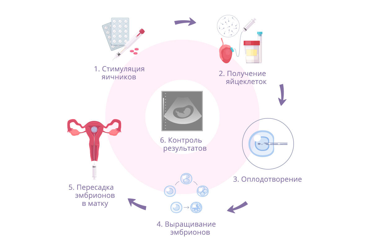 Эко в естественном цикле отзывы