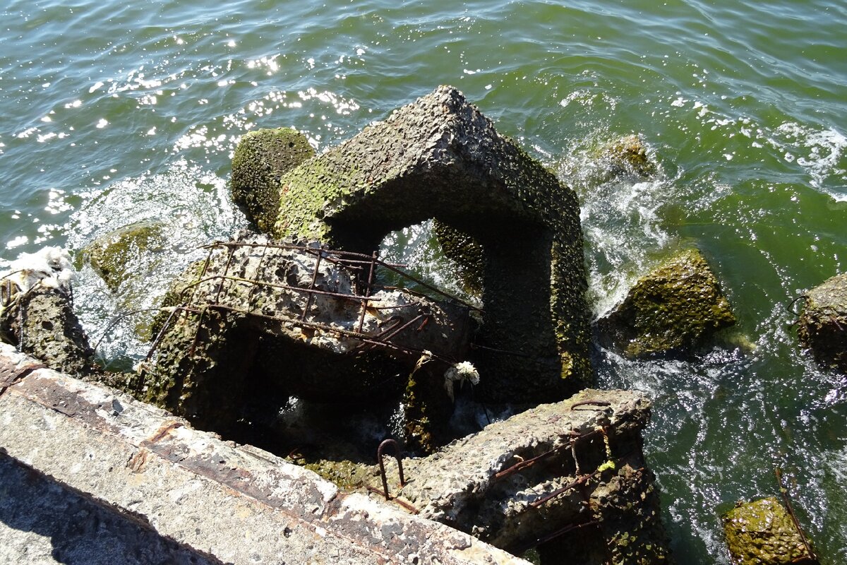 Все фото в статье сделаны лично мной, если не указано иное