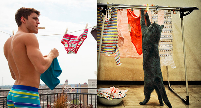 Любимая, я обед приготовил, чем ещё помочь?