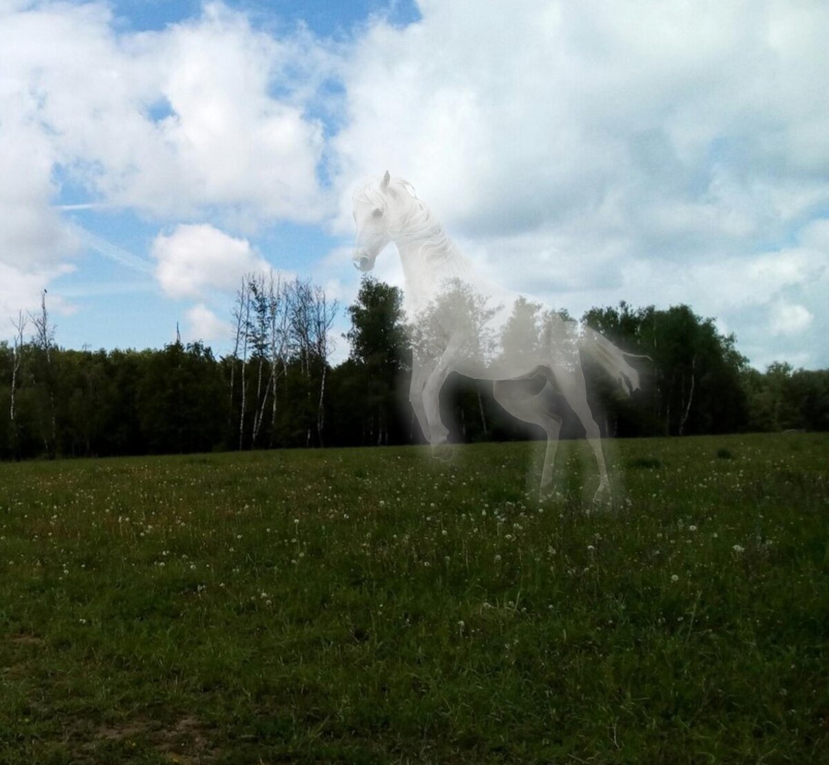 Призрак лошади. Иллюстрация автора
