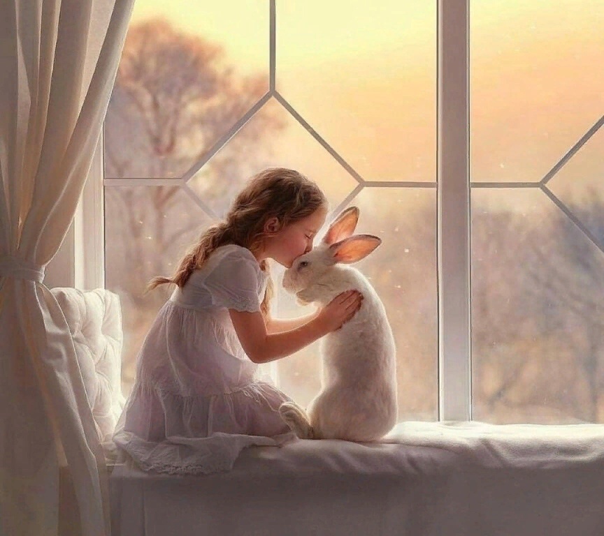 Яндекс картинки 