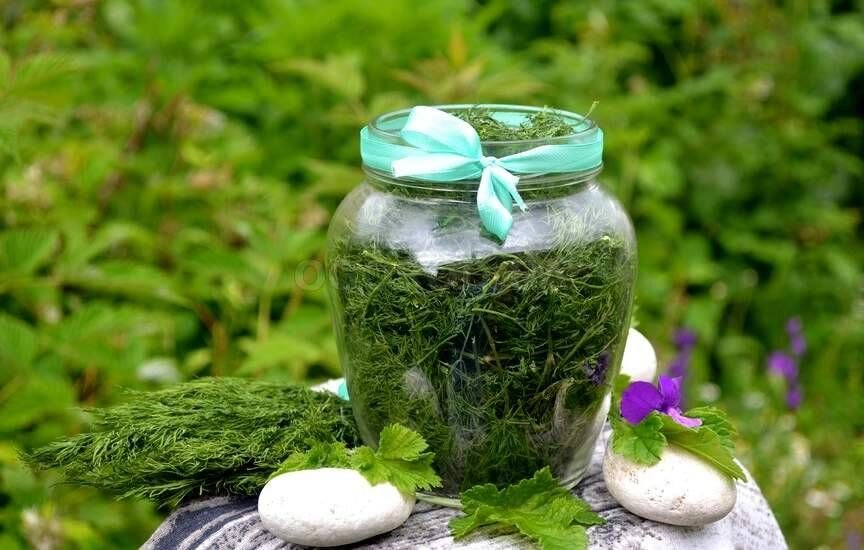 фото из поисковой системы