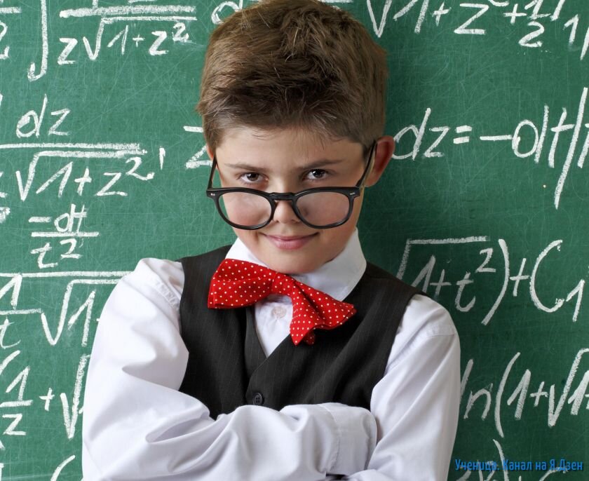 Фото взято из открытых источников. 