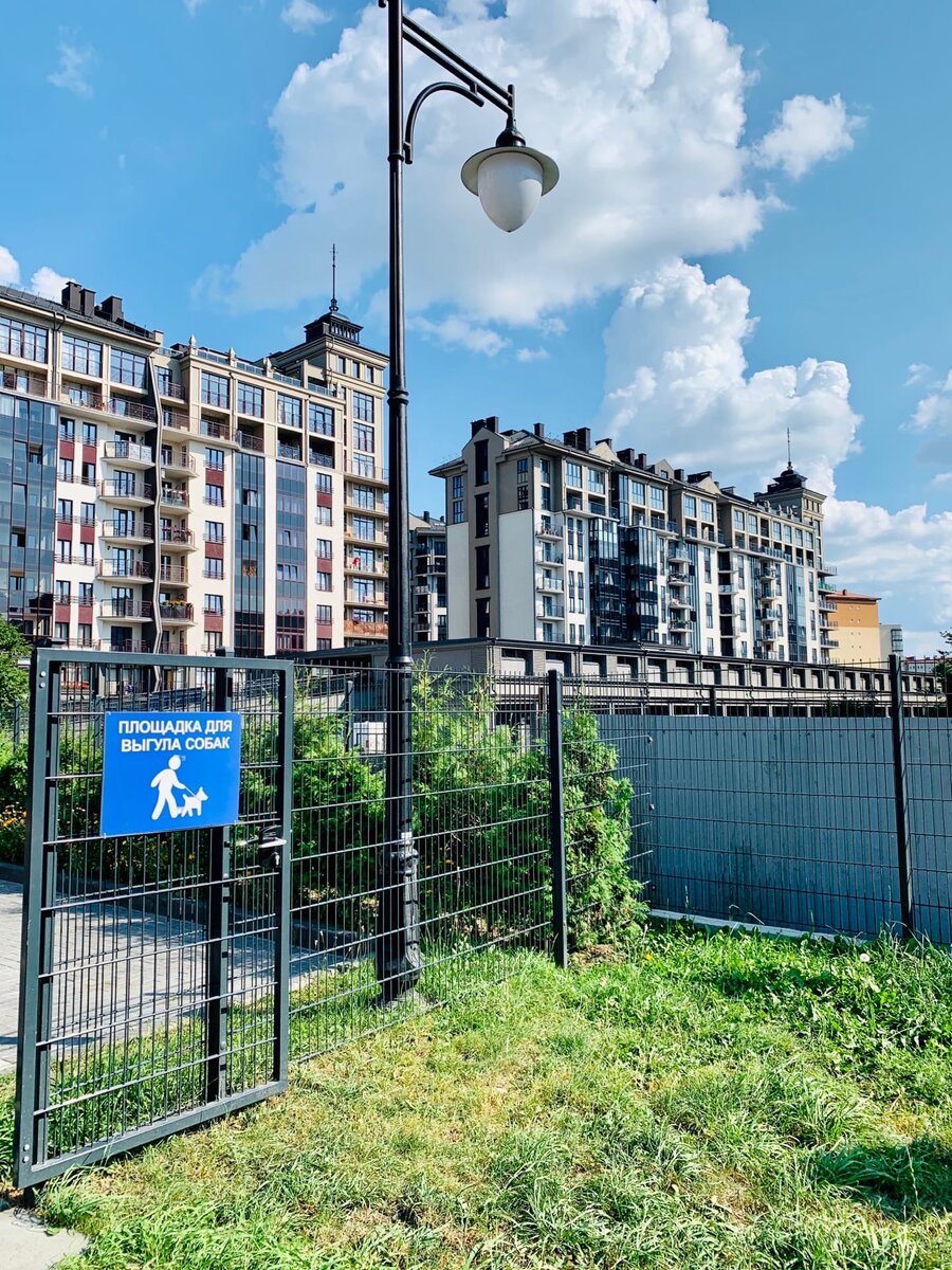 Одна из собачьих площадок