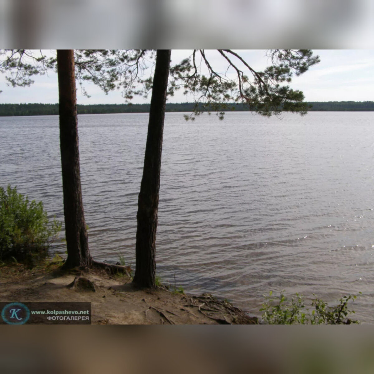 светлое озеро колпашево