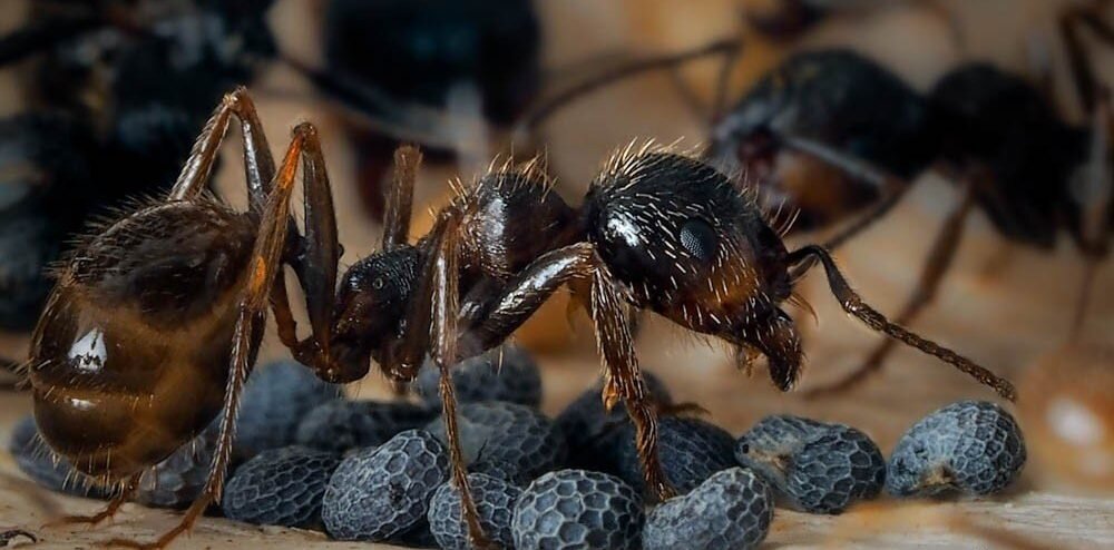 Фото: aquamagaz.ru