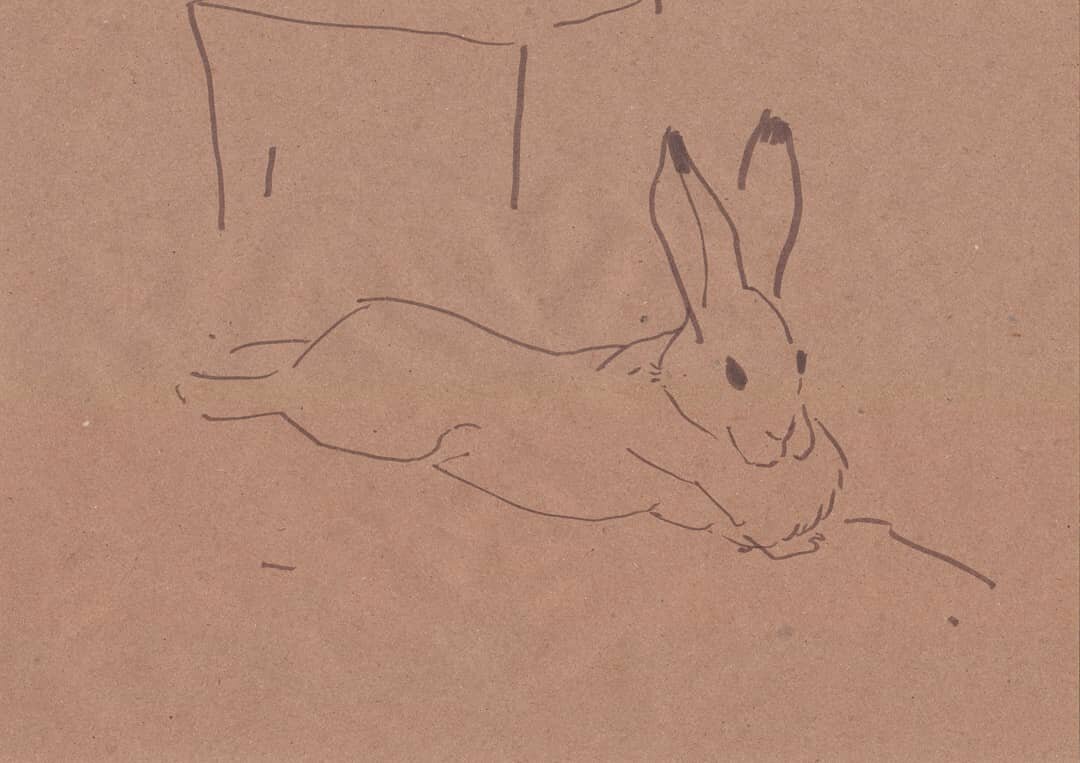 Инстаграм @arshavavlada