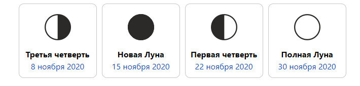 Миркосмоса ру лунный календарь 2025 год Уход за комнатными цветами с ноября по декабрь Полезная информация о комнатных р