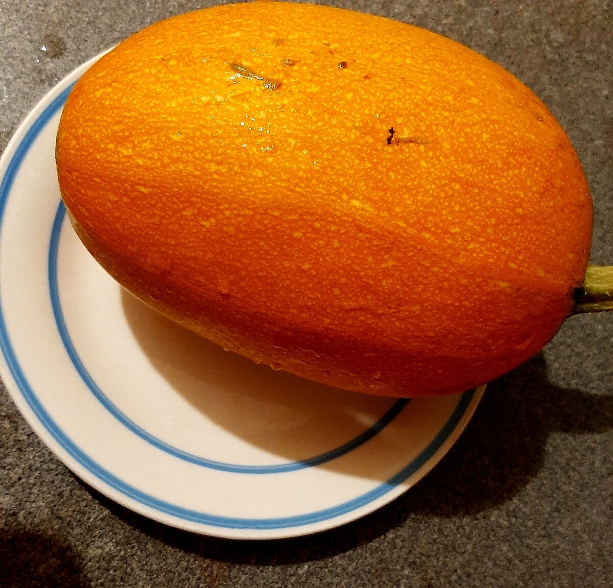 Кабачок