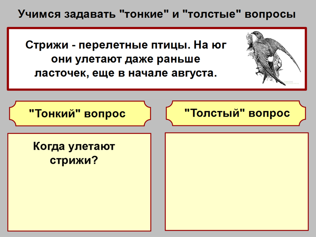 Методический прием «Тонкие и толстые вопросы» - как это работает | Елена  Сова: пуд соли в школе | Дзен