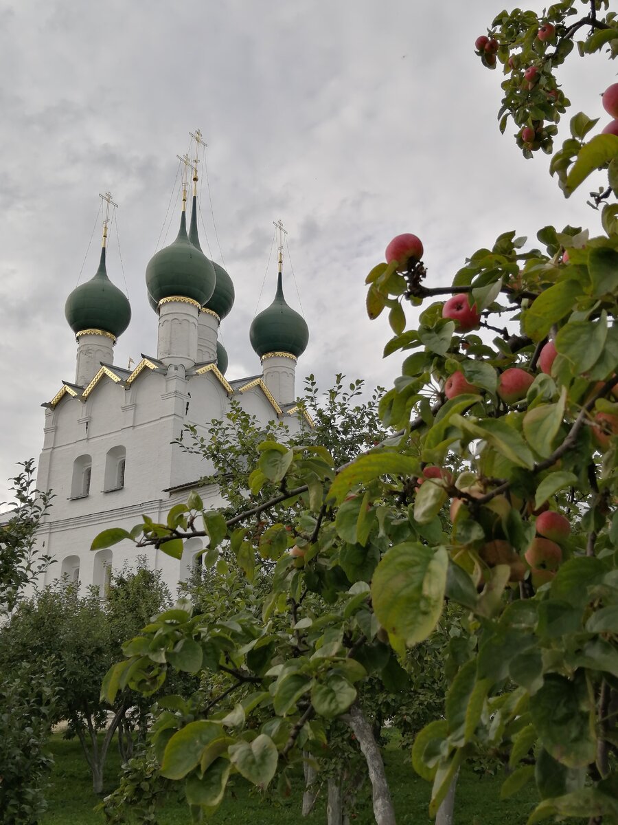 Церковь Григория Богослова. Вид из Митрополичьего сада. Фото автора.