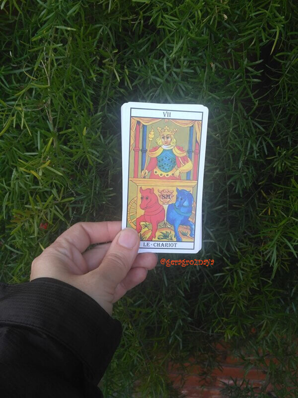 Колесница, Марсельское таро