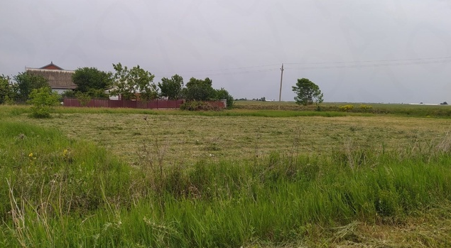 Степи хутора Крикуна