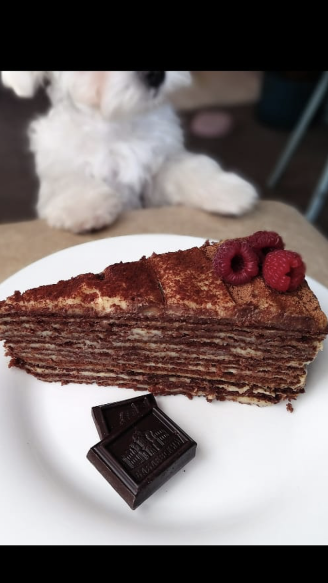 Очень сочный, шоколадный, вкусный тортик!!!Всем  рекомендую попробовать 👌